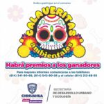 calaveritas ambientales