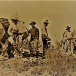 f120b914 0011 4bb6 a15f 93ad24984e8b OOK 768x446 1