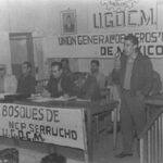 La guerrilla que incendió la sierra de Chihuahua 2 liga23sep5