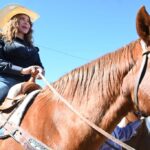 0eb4fd50 dfed 47f4 b39b c162615990d9