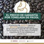 EB3E65BC 2C4C 4325 834B 432477E11386