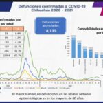 WhatsApp Image 2021 11 02 at 11.49.35