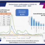 WhatsApp Image 2021 11 08 at 15.50.16