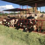 WhatsApp Image 2021 12 31 at 11.26.00 1