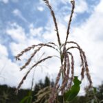 WhatsApp Image 2022 01 04 at 11.12.21