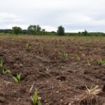 WhatsApp Image 2022 01 04 at 11.12.22