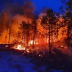 WhatsApp Image 2022 01 14 at 10.15.05 AM 5