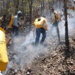 WhatsApp Image 2022 01 14 at 10.15.05 AM 7