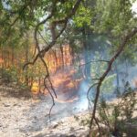 WhatsApp Image 2022 01 14 at 10.15.05 AM 8