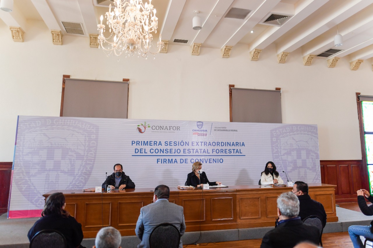 Firman Estado y CONAFOR convenio de colaboración en materia forestal ...