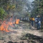Chihuahua, entre los estados con más incendios forestales 3 WhatsApp Image 2022 01 18 at 9.50.52 AM
