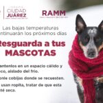 61fc13da4367e 61fc13da43682