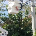 620c0021bd48c 620c0021bd48d