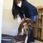 621be4f5eeb26 621be4f5eeb28