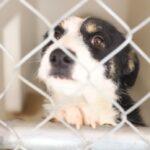 621be4f60dd1c 621be4f60dd20