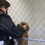 621be4f62190b 621be4f62190d