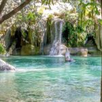 WhatsApp Image 2022 02 16 at 7.07.40 PM