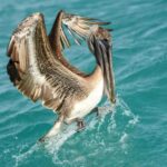 WhatsApp Image 2022 02 17 at 4.46.33 PM