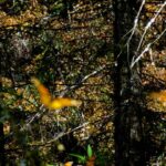 WhatsApp Image 2022 02 18 at 6.04.45 PM