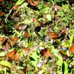 WhatsApp Image 2022 02 18 at 6.04.45 PM 2