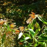 WhatsApp Image 2022 02 18 at 6.04.45 PM 3