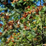 WhatsApp Image 2022 02 18 at 6.04.45 PM 4