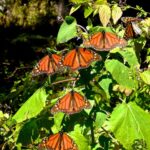 WhatsApp Image 2022 02 18 at 6.04.46 PM 1