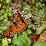 WhatsApp Image 2022 02 18 at 6.04.46 PM