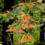 WhatsApp Image 2022 02 18 at 6.04.46 PM 3