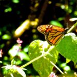 WhatsApp Image 2022 02 18 at 6.04.46 PM 5