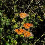 WhatsApp Image 2022 02 18 at 6.04.46 PM 6