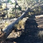 WhatsApp Image 2022 02 18 at 6.45.33 PM 1