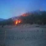 WhatsApp Image 2022 02 18 at 6.45.33 PM