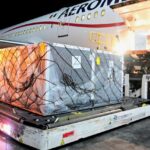 WhatsApp Image 2022 03 02 at 9.15.26 AM 1