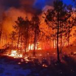 WhatsApp Image 2022 03 26 at 3.37.01 PM 1