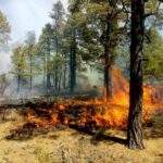 WhatsApp Image 2022 03 26 at 3.37.01 PM