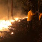 WhatsApp Image 2022 03 26 at 3.37.02 PM