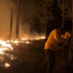 WhatsApp Image 2022 03 26 at 3.37.13 PM