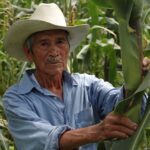 produccion para el bienestar