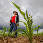 produccion para el bienestar 2