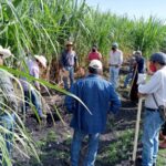 produccion para el bienestar 3