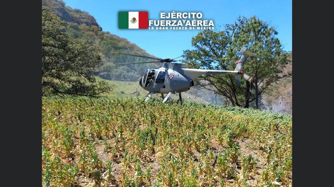 WhatsApp Image 2022 04 01 at 5.14.16 PM 1