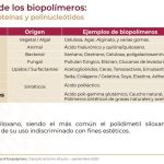 Captura de pantalla 2022 05 24 163816