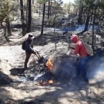 Siguen activos 12 incendios forestales en Chihuahua 1 WhatsApp Image 2022 05 16 at 1.03.44 PM