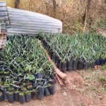 WhatsApp Image 2022 05 18 at 1.55.34 PM