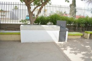 WhatsApp Image 2022 05 19 at 1.31.16 PM