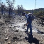 Siguen activos 12 incendios forestales en Chihuahua 4 incendios