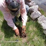 Miembros de etnias, principales sembradores y reforestadores en Chihuahua 3 05b5475d 5c96 4d0a 8c14 c6fd00bff07a