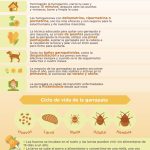 62bdcc4598271 62bdcc4598273