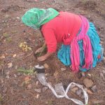 Miembros de etnias, principales sembradores y reforestadores en Chihuahua 2 95c6eb74 b9aa 4ac0 a9eb 493d27619f42